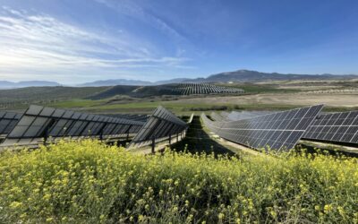 Matrix currently operates across Europe, the US and Latin America. Image: Matrix's Olivares PV plant in Spain.