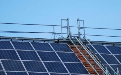 solar panels beneath transmission wires